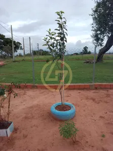 Fazenda/Sítio com 2 Quartos à venda, 2040m² no Do Gramadão, São Miguel Arcanjo