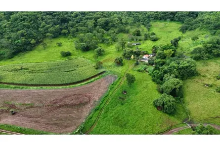 com 10 Quartos à venda, 601300m² no Centro, Franca