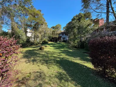 Lote/Terreno à venda, 531m² no Dante, Canela