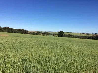Fazenda/Sítio com 1 Quarto à venda, 895400m² no Área Rural de Itapetininga, Itapetininga