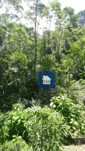 Lote/Terreno à venda, 606m² no Roseira, Mairiporã