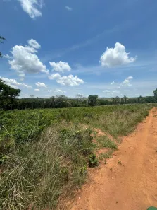 Lote/Terreno à venda, 20000m² no , Corumbá de Goiás