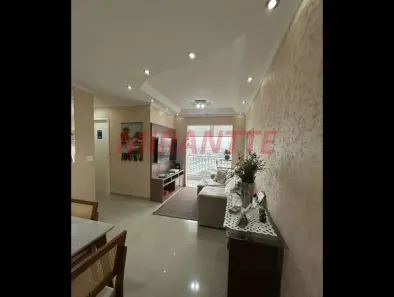 Apartamento com 3 Quartos à venda, 64m² no Jardim Japão, São Paulo