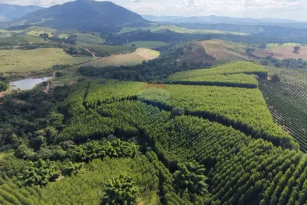 Fazenda/Sítio com 4 Quartos à venda, 1800000m² no Botelhos, Botelhos