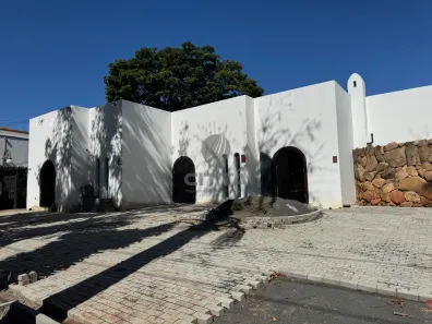 Imóvel Comercial com 3 Quartos para alugar, 559m² no Jardim das Paineiras, Campinas