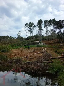 Fazenda/Sítio com 2 Quartos à venda, 20000m² no Salesópolis, Salesópolis