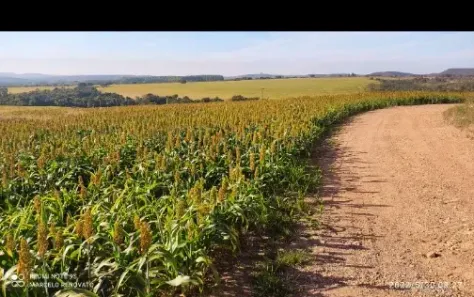 Fazenda/Sítio à venda no , Alexânia