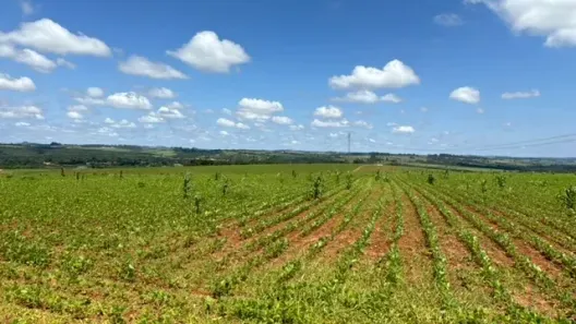 Fazenda/Sítio à venda, 917644m² no CAMAPUÃ, Araçoiaba da Serra