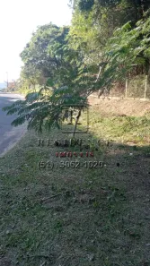 Lote/Terreno à venda, 30442m² no Vila Nova, Porto Alegre