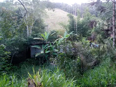 Fazenda/Sítio com 1 Quarto à venda, 400m² no Centro, Paraibuna