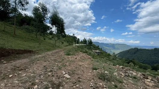 Imóvel Comercial à venda, 50000m² no Belvedere, Gramado