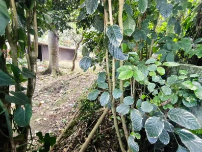 Lote/Terreno à venda, 900m² no Itacoatiara, Niterói