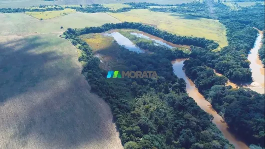 Fazenda/Sítio com 5 Quartos à venda, 4665m² no Centro, Ponte Nova
