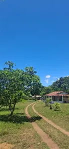 Fazenda/Sítio à venda, 39784m² no Quingoma, Lauro de Freitas