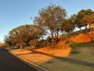 Lote/Terreno à venda, 488m² no Residencial e Empresarial Alphaville, Ribeirão Preto