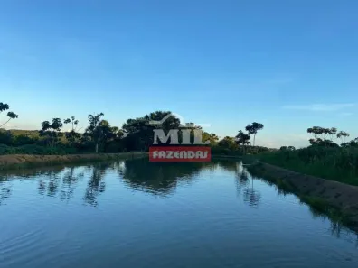 Fazenda/Sítio à venda, 20000m² no , Hidrolândia