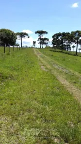 Fazenda/Sítio com 1 Quarto à venda, 116580m² no Criúva, Caxias do Sul