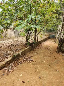 Lote/Terreno à venda, 430m² no Santana, São Paulo