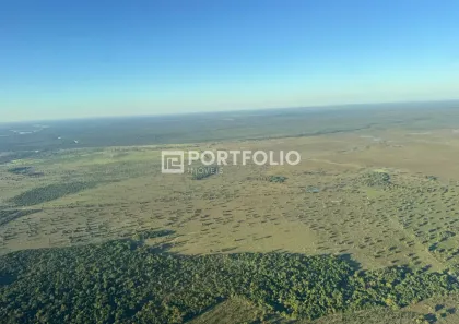 Fazenda/Sítio com 10 Quartos à venda, 1560000m² no , Iporá