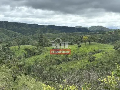 Fazenda/Sítio à venda, 1m² no , Padre Bernardo