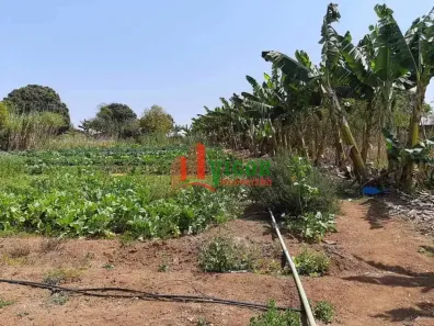 Fazenda/Sítio à venda, 12000m² no Itapoã II, Sete Lagoas