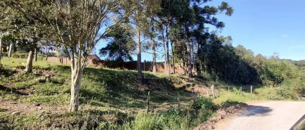 Lote/Terreno à venda, 2049m² no Santa Corona, Caxias do Sul