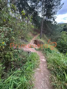 Lote/Terreno à venda, 6941m² no Vila Rosina, Caieiras