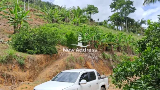 Fazenda/Sítio com 2 Quartos à venda, 80m² no , Marechal Floriano