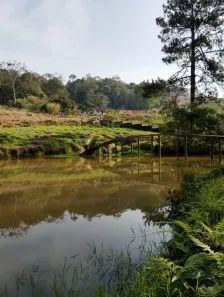 Lote/Terreno à venda, 500m² no Puris, Ibiúna