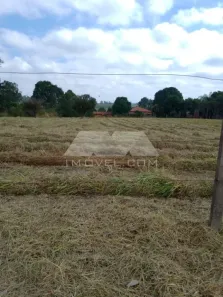 Lote/Terreno à venda, 5000m² no Jardim Primavera, São Pedro