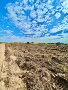 Lote/Terreno à venda, 2000015m² no Elias Fausto, Elias Fausto