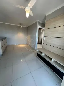Apartamento com 2 Quartos à venda, 52m² no Vila Industrial, Campinas