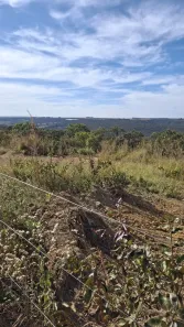 Fazenda/Sítio à venda, 20000m² no Área Rural de Planaltina, Brasília