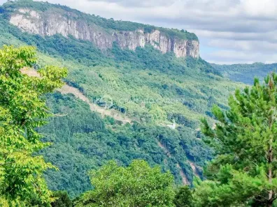 Fazenda/Sítio com 1 Quarto à venda, 5000m² no , Gramado