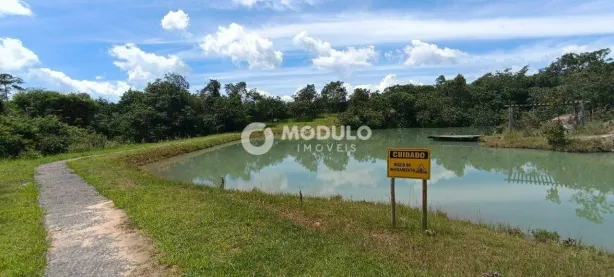 Fazenda/Sítio à venda, 5000m² no Área Rural de Uberlândia, Uberlândia