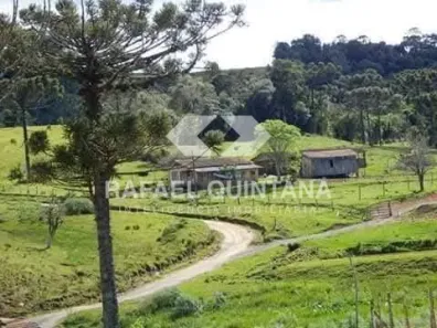 Fazenda/Sítio com 3 Quartos à venda, 75000m² no , Alfredo Wagner