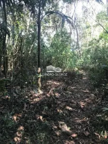 Lote/Terreno à venda, 1300m² no Pirucaia, Mairiporã