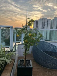 Cobertura com 3 Quartos à venda, 380m² no Olímpico, São Caetano do Sul