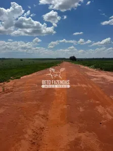 Fazenda/Sítio à venda, 8107000m² no , Naviraí