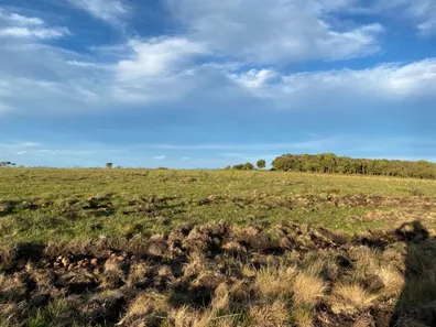 Lote/Terreno à venda, 20000m² no , Urubici