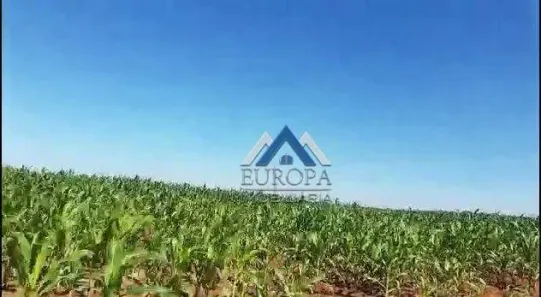Fazenda/Sítio à venda, 1495560m² no Centro, Bela Vista do Paraíso