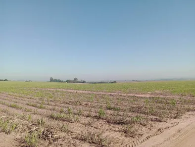 Fazenda/Sítio com 1 Quarto à venda, 1m² no Centro (Ártemis), Piracicaba