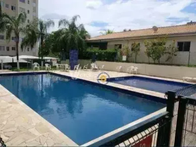 Apartamento com 2 Quartos à venda, 45m² no Parque Yolanda (Nova Veneza), Sumaré