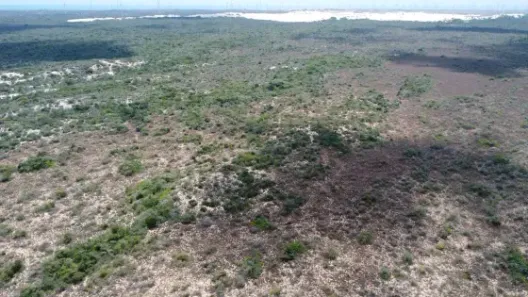 Fazenda/Sítio com 3 Quartos à venda, 1579000m² no , Rio do Fogo