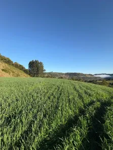 Fazenda/Sítio à venda, 250000m² no , Piratuba