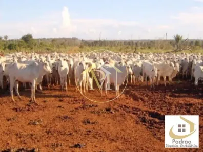 Lote/Terreno à venda, 380000000m² no Zona Rural, Castanheira