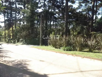 Fazenda/Sítio com 3 Quartos à venda, 110m² no Mato Dentro, Almirante Tamandaré