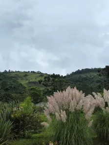 Lote/Terreno à venda, 20000m² no , Cunha