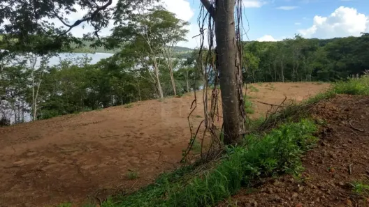 Lote/Terreno à venda, 10000m² no Conjunto Alvorada, Uberlândia