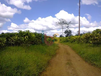 Fazenda/Sítio à venda, 214m² no , Una